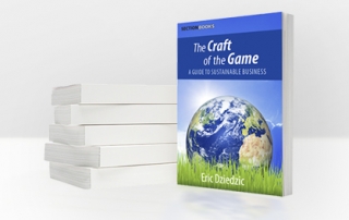 The Craft of the Game: A Guide to Sustainable Business